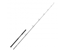 Спиннинг Daiwa 25 Saltiga Casting 73-12 2.21м max230гр